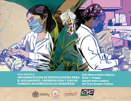 Guía práctica: implementación ...