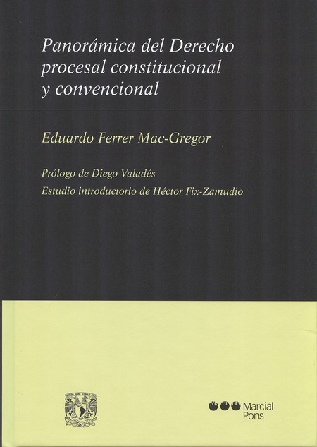 Panorámica del derecho procesa...