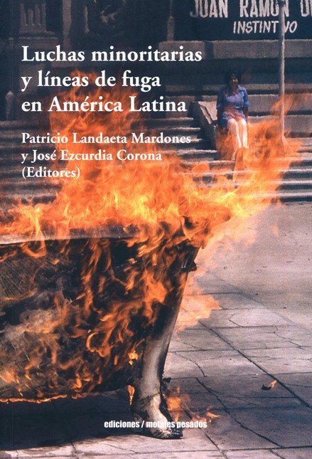 Luchas minoritarias y líneas d...