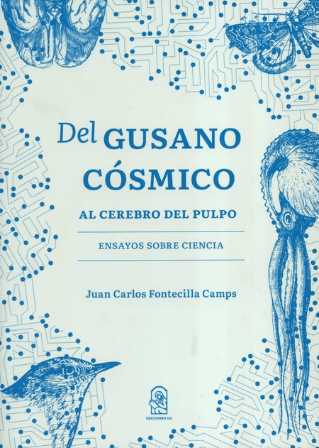 Del gusano cósmico al cerebro ...