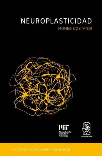 Neuroplasticidad