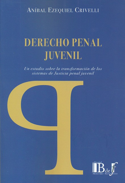 Derecho penal juvenil. Un estu...
