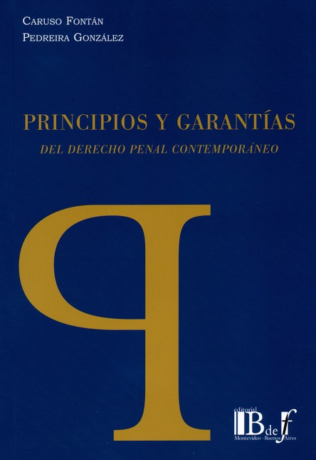 Principios y garantías del der...