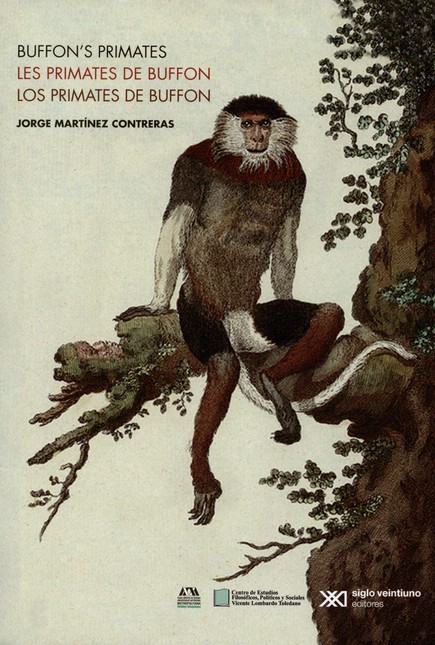 Los primates de Buffon