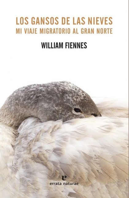 Los gansos de las nieves. Mi v...