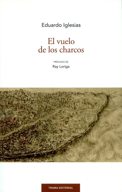 El vuelo de los charcos