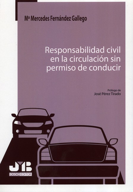 Responsabilidad civil en la ci...