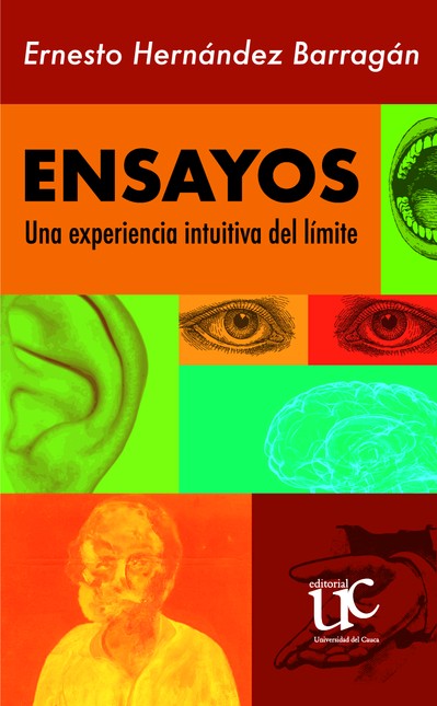 Ensayos. Una experiencia intui...