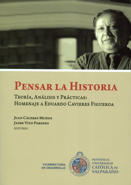 Pensar la historia. Teoría, an...