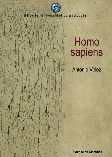 Homo sapiens