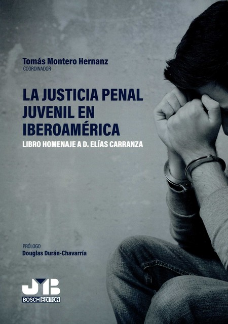 La justicia penal juvenil en I...