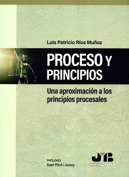 Procesos y principios. Una apr...