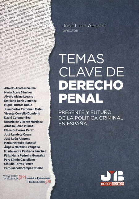 Temas claves de derecho penal....