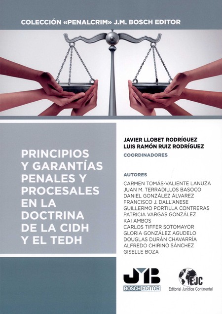 Principios y garantías penales...