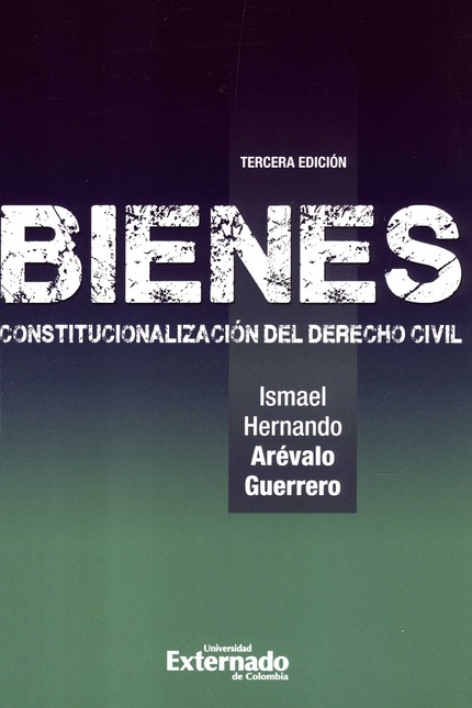 Bienes constitucionalización d...