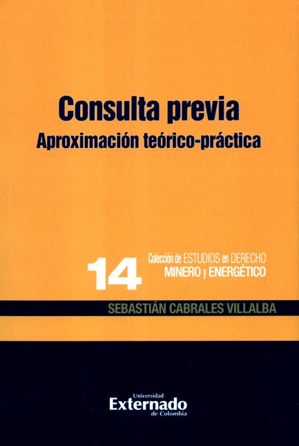 Consulta previa. Aproximación ...