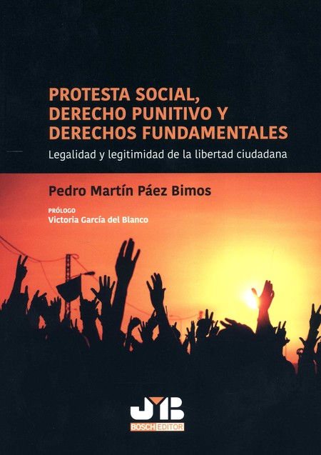 Protesta social, Derecho punit...
