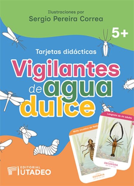 Tarjetas didácticas. Vigilante...