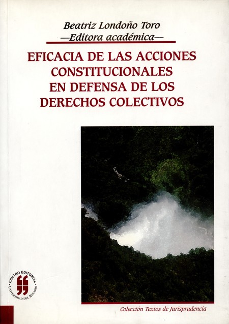 Eficacia de las acciones const...