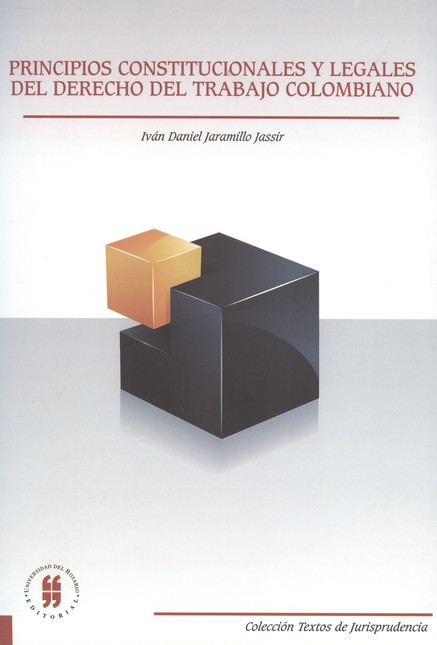 Principios constitucionales y ...