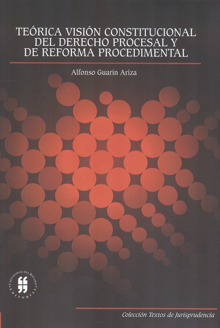 Teórica visión constitucional ...