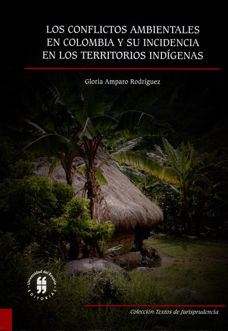 Los conflictos ambientales en ...