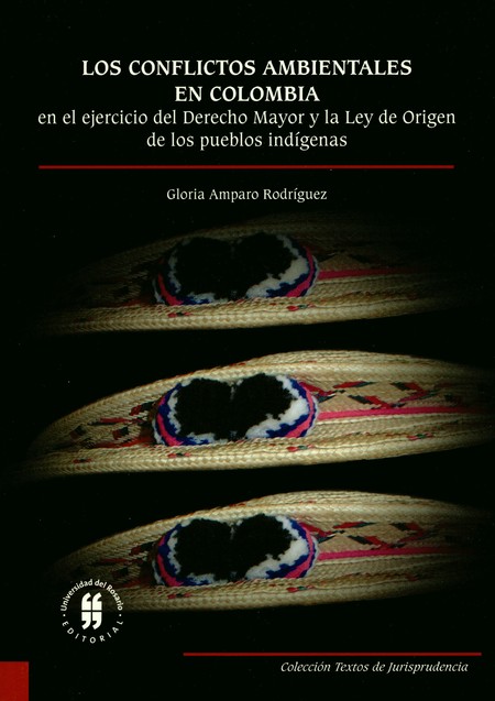 Los conflictos ambientales en ...