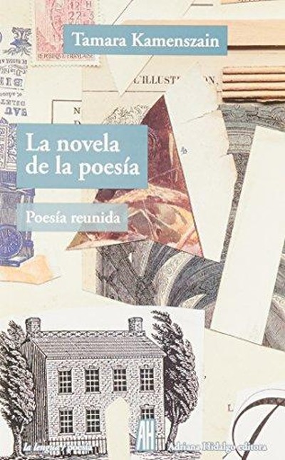 La novela de la poesía