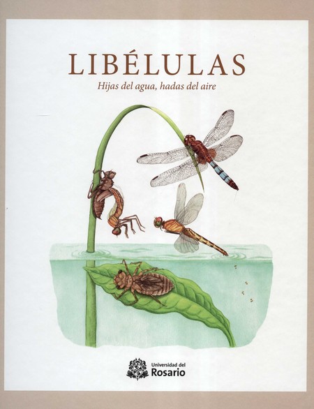 Libélulas. Hijas del agua, had...