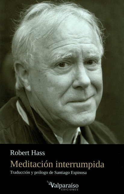 Meditación interrumpida