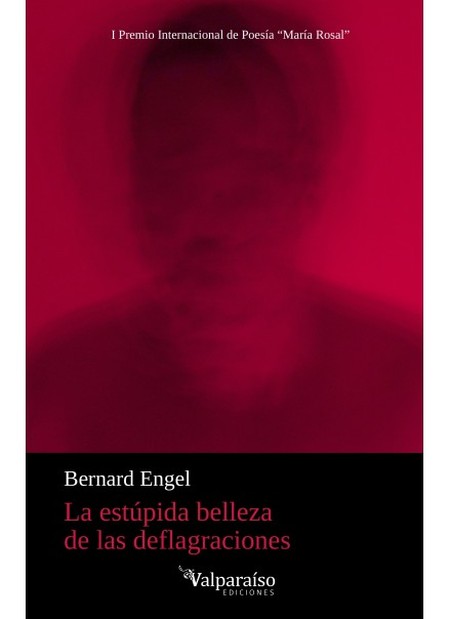 La estúpida belleza de las def...