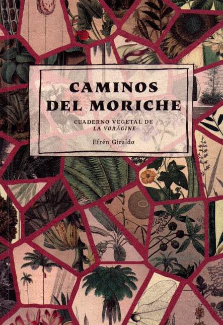 Caminos del moriche. Cuaderno ...