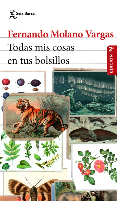 todas mis cosas en tus bolsill...