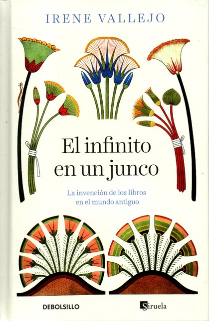 Infinito en un junco, el