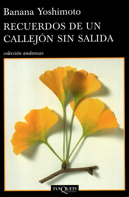 Recuerdos de un callejón sin s...