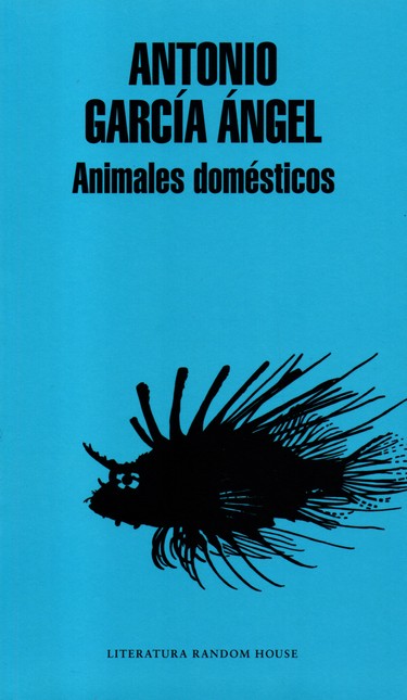 Animales domésticos