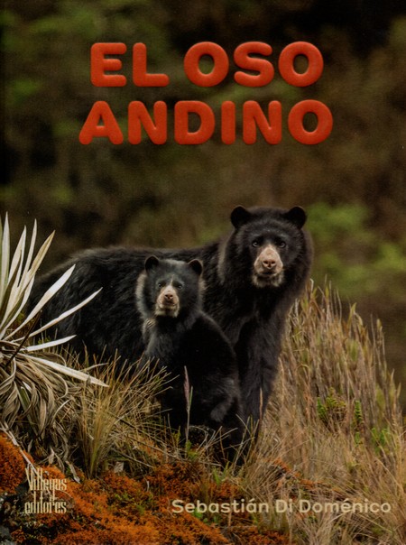 Oso andino, el