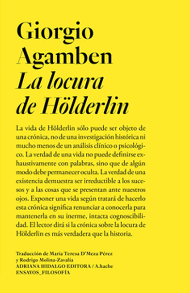 La locura de Hölderlin