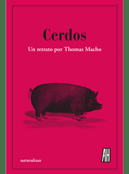 Cerdos