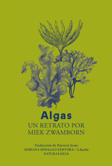 Algas. Un retrato por Miek Zwa...