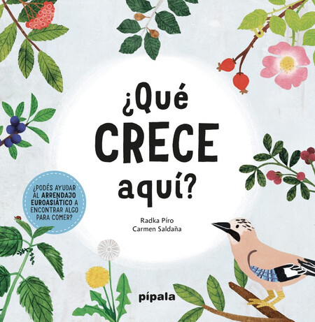 ¿Qué crece aquí?