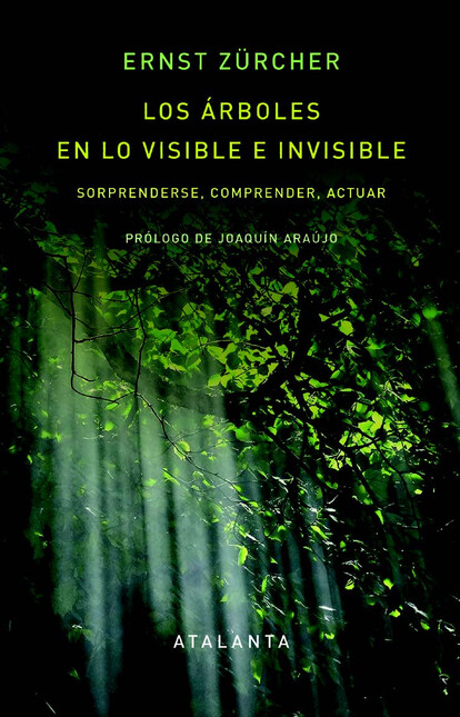 Los árboles en lo visible e in...