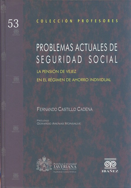 Problemas actuales de segurida...