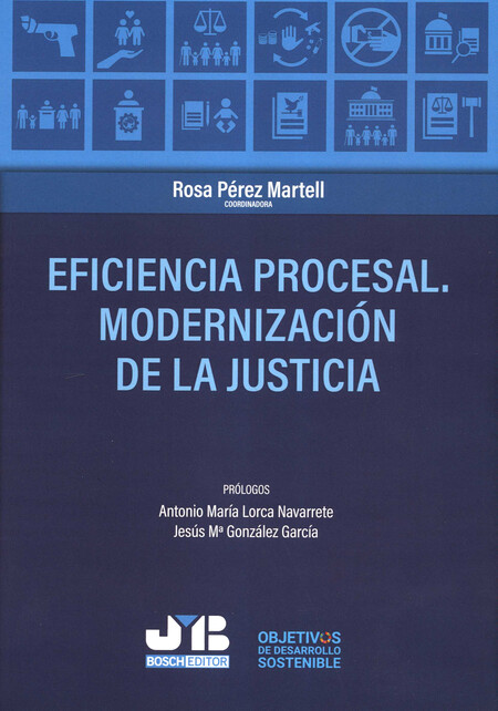 Eficiencia procesal. Moderniza...