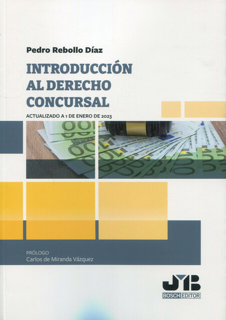 Introducción al derecho concur...