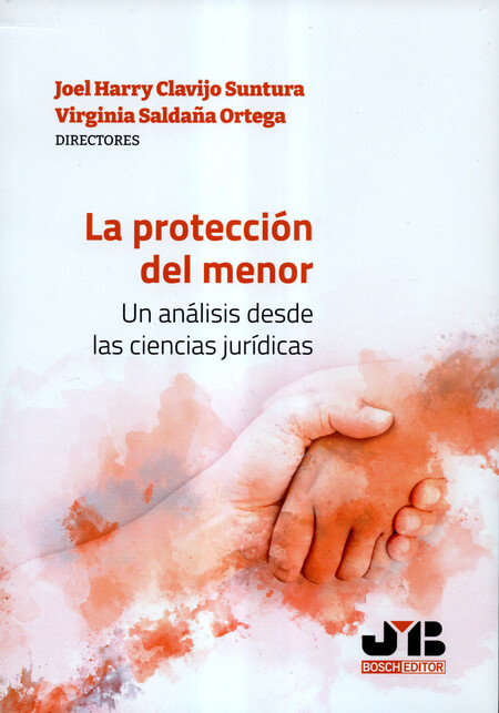 La protección del menor. Un an...