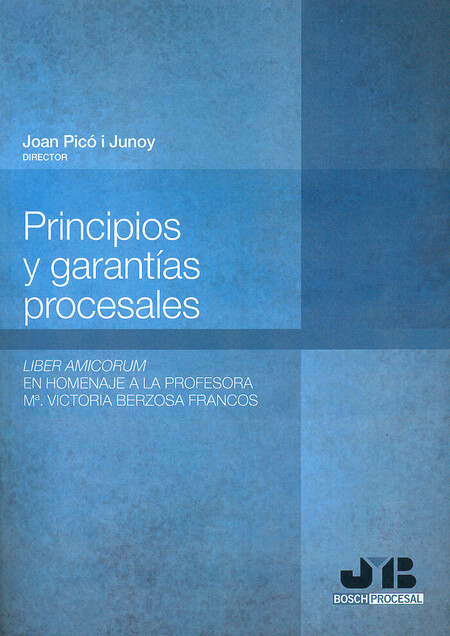 Principios y garantías procesa...