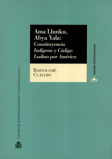 Ama Llunku, Abya Yala: Constit...