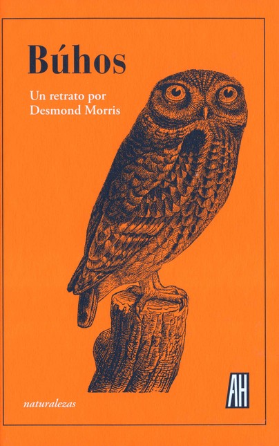 Búhos. Un retrato por Desmond ...