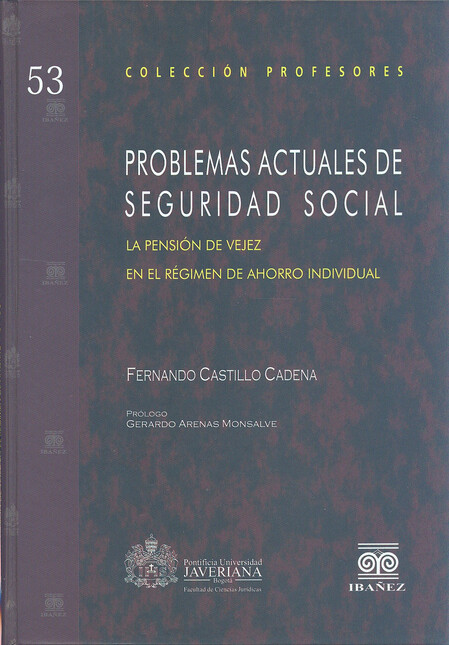 Problemas actuales de segurida...